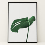Ladda upp bild till gallerivisning, Grønne Plakater | Smukke planteillustrationer til dit hjem | Plakat med grønne planter, botanisk kunst og naturplanter, ideel til at tilføje et organisk og livligt præg til dit hjem.
