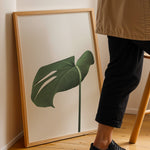 Ladda upp bild till gallerivisning, Grønne Plakater | Smukke planteillustrationer til dit hjem | Plakat med grønne planter, botanisk kunst og naturplanter, ideel til at tilføje et organisk og livligt præg til dit hjem.
