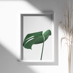 Ladda upp bild till gallerivisning, Grønne Plakater | Smukke planteillustrationer til dit hjem | Plakat med grønne planter, botanisk kunst og naturplanter, ideel til at tilføje et organisk og livligt præg til dit hjem.
