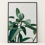 Ladda upp bild till gallerivisning, Planteplakat | Smukt print med naturens skønhed til dit hjem | Plakat med grønne planter, botanisk kunst og naturplanter, ideel til at tilføje et organisk og livligt præg til dit hjem.
