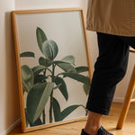 Ladda upp bild till gallerivisning, Planteplakat | Smukt print med naturens skønhed til dit hjem | Plakat med grønne planter, botanisk kunst og naturplanter, ideel til at tilføje et organisk og livligt præg til dit hjem.

