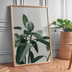 Ladda upp bild till gallerivisning, Planteplakat | Smukt print med naturens skønhed til dit hjem | Plakat med grønne planter, botanisk kunst og naturplanter, ideel til at tilføje et organisk og livligt præg til dit hjem.
