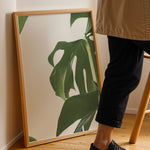 Ladda upp bild till gallerivisning, Naturinspirerede Plakater | Elegante planter og blomster til din bolig | Plakat med grønne planter, botanisk kunst og naturplanter, ideel til at tilføje et organisk og livligt præg til dit hjem.
