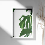 Ladda upp bild till gallerivisning, Naturinspirerede Plakater | Elegante planter og blomster til din bolig | Plakat med grønne planter, botanisk kunst og naturplanter, ideel til at tilføje et organisk og livligt præg til dit hjem.
