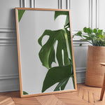 Ladda upp bild till gallerivisning, Naturinspirerede Plakater | Elegante planter og blomster til din bolig | Plakat med grønne planter, botanisk kunst og naturplanter, ideel til at tilføje et organisk og livligt præg til dit hjem.
