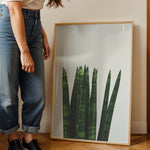 Ladda upp bild till gallerivisning, Plakater med Plantemotiver | Stilfulde designs til stue og kontor | Plakat med grønne planter, botanisk kunst og naturplanter, ideel til at tilføje et organisk og livligt præg til dit hjem.
