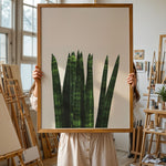 Ladda upp bild till gallerivisning, Plakater med Plantemotiver | Stilfulde designs til stue og kontor | Plakat med grønne planter, botanisk kunst og naturplanter, ideel til at tilføje et organisk og livligt præg til dit hjem.
