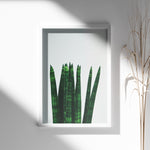 Ladda upp bild till gallerivisning, Plakater med Plantemotiver | Stilfulde designs til stue og kontor | Plakat med grønne planter, botanisk kunst og naturplanter, ideel til at tilføje et organisk og livligt præg til dit hjem.
