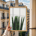 Ladda upp bild till gallerivisning, Plakater med Plantemotiver | Stilfulde designs til stue og kontor | Plakat med grønne planter, botanisk kunst og naturplanter, ideel til at tilføje et organisk og livligt præg til dit hjem.
