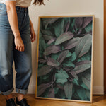Ladda upp bild till gallerivisning, Naturens Elegance | Plakater med detaljerede planteillustrationer | Plakat med grønne planter, botanisk kunst og naturplanter, ideel til at tilføje et organisk og livligt præg til dit hjem.
