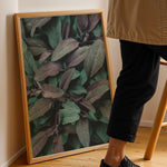 Ladda upp bild till gallerivisning, Naturens Elegance | Plakater med detaljerede planteillustrationer | Plakat med grønne planter, botanisk kunst og naturplanter, ideel til at tilføje et organisk og livligt præg til dit hjem.
