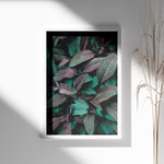 Ladda upp bild till gallerivisning, Naturens Elegance | Plakater med detaljerede planteillustrationer | Plakat med grønne planter, botanisk kunst og naturplanter, ideel til at tilføje et organisk og livligt præg til dit hjem.
