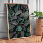 Ladda upp bild till gallerivisning, Naturens Elegance | Plakater med detaljerede planteillustrationer | Plakat med grønne planter, botanisk kunst og naturplanter, ideel til at tilføje et organisk og livligt præg til dit hjem.

