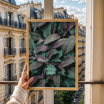 Ladda upp bild till gallerivisning, Naturens Elegance | Plakater med detaljerede planteillustrationer | Plakat med grønne planter, botanisk kunst og naturplanter, ideel til at tilføje et organisk og livligt præg til dit hjem.
