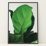 Ladda upp bild till gallerivisning, Grøn Vægkunst | Realistiske plante plakater til indretning | Plakat med grønne planter, botanisk kunst og naturplanter, ideel til at tilføje et organisk og livligt præg til dit hjem.
