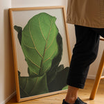Ladda upp bild till gallerivisning, Grøn Vægkunst | Realistiske plante plakater til indretning | Plakat med grønne planter, botanisk kunst og naturplanter, ideel til at tilføje et organisk og livligt præg til dit hjem.

