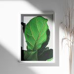 Ladda upp bild till gallerivisning, Grøn Vægkunst | Realistiske plante plakater til indretning | Plakat med grønne planter, botanisk kunst og naturplanter, ideel til at tilføje et organisk og livligt præg til dit hjem.
