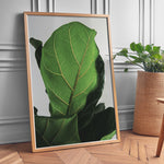 Ladda upp bild till gallerivisning, Grøn Vægkunst | Realistiske plante plakater til indretning | Plakat med grønne planter, botanisk kunst og naturplanter, ideel til at tilføje et organisk og livligt præg til dit hjem.
