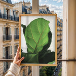 Ladda upp bild till gallerivisning, Grøn Vægkunst | Realistiske plante plakater til indretning | Plakat med grønne planter, botanisk kunst og naturplanter, ideel til at tilføje et organisk og livligt præg til dit hjem.
