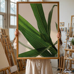 Ladda upp bild till gallerivisning, Plantemotiver | Unikke plante illustrationer print til dit hjem | Plakat med grønne planter, botanisk kunst og naturplanter, ideel til at tilføje et organisk og livligt præg til dit hjem.
