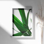 Ladda upp bild till gallerivisning, Plantemotiver | Unikke plante illustrationer print til dit hjem | Plakat med grønne planter, botanisk kunst og naturplanter, ideel til at tilføje et organisk og livligt præg til dit hjem.
