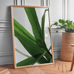 Ladda upp bild till gallerivisning, Plantemotiver | Unikke plante illustrationer print til dit hjem | Plakat med grønne planter, botanisk kunst og naturplanter, ideel til at tilføje et organisk og livligt præg til dit hjem.
