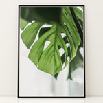 Ladda upp bild till gallerivisning, Flora på Væggen | Dekorér dine rum med naturlige designs | Plakat med grønne planter, botanisk kunst og naturplanter, ideel til at tilføje et organisk og livligt præg til dit hjem.

