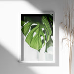 Ladda upp bild till gallerivisning, Flora på Væggen | Dekorér dine rum med naturlige designs | Plakat med grønne planter, botanisk kunst og naturplanter, ideel til at tilføje et organisk og livligt præg til dit hjem.

