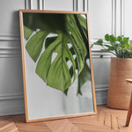 Ladda upp bild till gallerivisning, Flora på Væggen | Dekorér dine rum med naturlige designs | Plakat med grønne planter, botanisk kunst og naturplanter, ideel til at tilføje et organisk og livligt præg til dit hjem.
