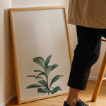 Ladda upp bild till gallerivisning, Grønne Vækster | Forfrisk din indretning med naturens skønhed | Plakat med grønne planter, botanisk kunst og naturplanter, ideel til at tilføje et organisk og livligt præg til dit hjem.
