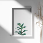 Ladda upp bild till gallerivisning, Grønne Vækster | Forfrisk din indretning med naturens skønhed | Plakat med grønne planter, botanisk kunst og naturplanter, ideel til at tilføje et organisk og livligt præg til dit hjem.
