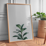 Ladda upp bild till gallerivisning, Grønne Vækster | Forfrisk din indretning med naturens skønhed | Plakat med grønne planter, botanisk kunst og naturplanter, ideel til at tilføje et organisk og livligt præg til dit hjem.
