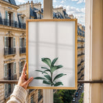Ladda upp bild till gallerivisning, Grønne Vækster | Forfrisk din indretning med naturens skønhed | Plakat med grønne planter, botanisk kunst og naturplanter, ideel til at tilføje et organisk og livligt præg til dit hjem.
