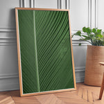 Ladda upp bild till gallerivisning, Naturkunst | Smukke planteillustrationer til ethvert rum | Plakat med grønne planter, botanisk kunst og naturplanter, ideel til at tilføje et organisk og livligt præg til dit hjem.
