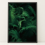 Ladda upp bild till gallerivisning, Blomster og Blade | Realistiske motiver til dit hjem | Plakat med grønne planter, botanisk kunst og naturplanter, ideel til at tilføje et organisk og livligt præg til dit hjem.
