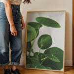 Ladda upp bild till gallerivisning, Grønne Vægkunstværker | Planter og natur i din stue | Plakat med grønne planter, botanisk kunst og naturplanter, ideel til at tilføje et organisk og livligt præg til dit hjem.
