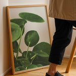Ladda upp bild till gallerivisning, Grønne Vægkunstværker | Planter og natur i din stue | Plakat med grønne planter, botanisk kunst og naturplanter, ideel til at tilføje et organisk og livligt præg til dit hjem.
