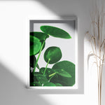 Ladda upp bild till gallerivisning, Grønne Vægkunstværker | Planter og natur i din stue | Plakat med grønne planter, botanisk kunst og naturplanter, ideel til at tilføje et organisk og livligt præg til dit hjem.
