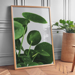 Ladda upp bild till gallerivisning, Grønne Vægkunstværker | Planter og natur i din stue | Plakat med grønne planter, botanisk kunst og naturplanter, ideel til at tilføje et organisk og livligt præg til dit hjem.

