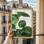 Ladda upp bild till gallerivisning, Grønne Vægkunstværker | Planter og natur i din stue | Plakat med grønne planter, botanisk kunst og naturplanter, ideel til at tilføje et organisk og livligt præg til dit hjem.
