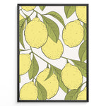 Ladda upp bild till gallerivisning, Botanical poster featuring yellow lemons with green leaves on white background, framed in black.
