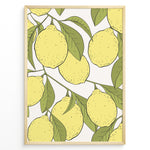 Ladda upp bild till gallerivisning, Botanical poster featuring yellow lemons with green leaves on white background, framed in golden.
