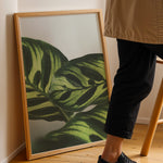 Ladda upp bild till gallerivisning, Flora og Fauna | Elegant vægdekoration til boligen | Plakat med grønne planter, botanisk kunst og naturplanter, ideel til at tilføje et organisk og livligt præg til dit hjem.
