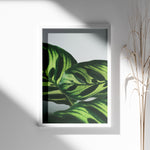 Ladda upp bild till gallerivisning, Flora og Fauna | Elegant vægdekoration til boligen | Plakat med grønne planter, botanisk kunst og naturplanter, ideel til at tilføje et organisk og livligt præg til dit hjem.
