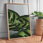 Ladda upp bild till gallerivisning, Flora og Fauna | Elegant vægdekoration til boligen | Plakat med grønne planter, botanisk kunst og naturplanter, ideel til at tilføje et organisk og livligt præg til dit hjem.
