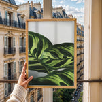 Ladda upp bild till gallerivisning, Flora og Fauna | Elegant vægdekoration til boligen | Plakat med grønne planter, botanisk kunst og naturplanter, ideel til at tilføje et organisk og livligt præg til dit hjem.
