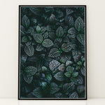 Ladda upp bild till gallerivisning, Grøn Inspiration | Plakater med frodige motiver til stuen | Plakat med grønne planter, botanisk kunst og naturplanter, ideel til at tilføje et organisk og livligt præg til dit hjem.
