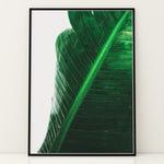 Ladda upp bild till gallerivisning, Naturens Skønhed | Realistiske planteplakater til væggen | Plakat med grønne planter, botanisk kunst og naturplanter, ideel til at tilføje et organisk og livligt præg til dit hjem.

