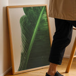 Ladda upp bild till gallerivisning, Naturens Skønhed | Realistiske planteplakater til væggen | Plakat med grønne planter, botanisk kunst og naturplanter, ideel til at tilføje et organisk og livligt præg til dit hjem.
