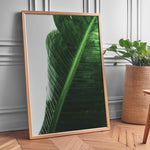Ladda upp bild till gallerivisning, Naturens Skønhed | Realistiske planteplakater til væggen | Plakat med grønne planter, botanisk kunst og naturplanter, ideel til at tilføje et organisk og livligt præg til dit hjem.
